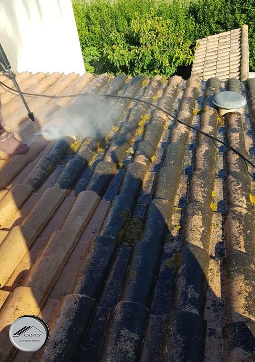 Nettoyage de Toiture Sausset-les-Pins