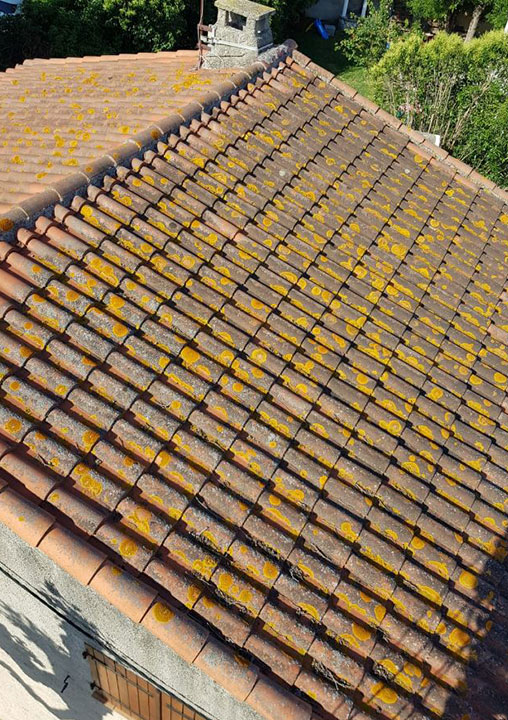 Démoussage Toiture Sausset-les-Pins