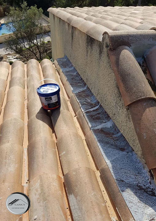 Réparation Toiture Vitrolles