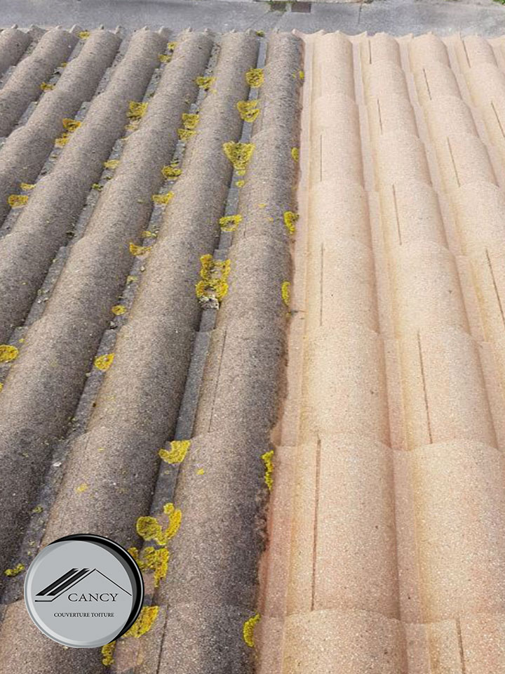 Démoussage Toiture Sausset-les-Pins